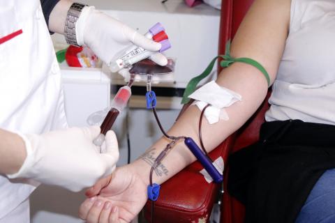 Donante de sangre del ICHH / CanariasNoticias.es Donante de sangre del ICHH / CanariasNoticias.es