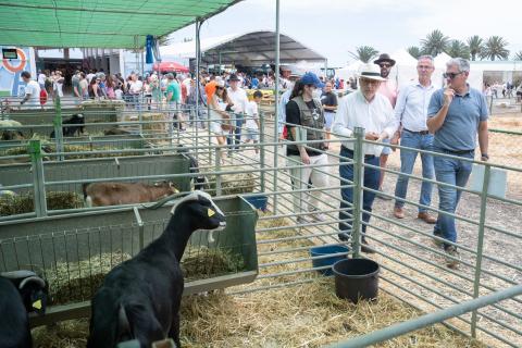 'Tenderete del baifo' en Gran Canaria / CanariasNoticias.es 