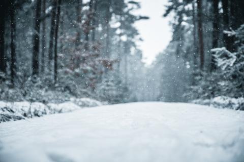 / Marc Markstein (Unsplash)