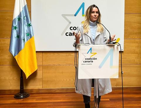 María Fernández (CC) / CanariasNoticias.es María Fernández (CC) / CanariasNoticias.es