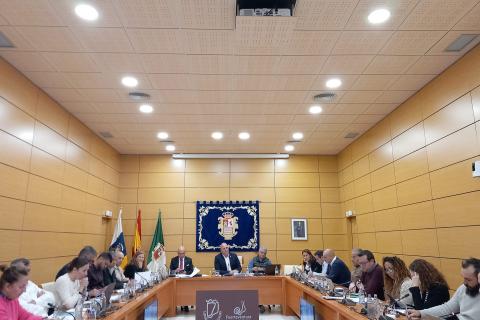 Pleno del Cabildo de Fuerteventura / CanariasNoticias.es