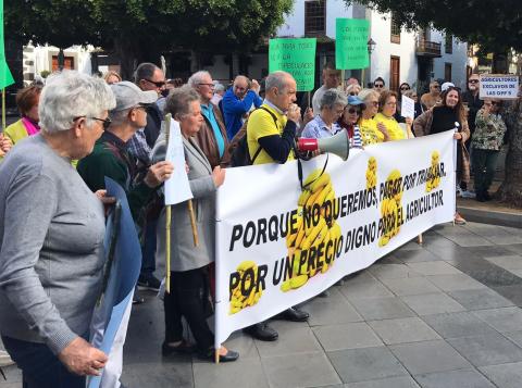 Protesta de la Plataforma por un Precio Justo para el Plátano / CanariasNoticias.es Protesta de la Plataforma por un Precio Justo para el Plátano / CanariasNoticias.es