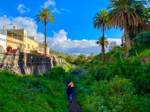 Limpieza del barranco del Tundidor en Telde / CanariasNoticias.es