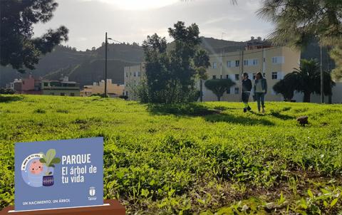 Parque el Árbol de tu vida en Teror / CanariasNoticias.es Parque el Árbol de tu vida en Teror / CanariasNoticias.es