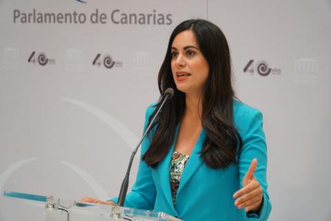 Vidina Espino, portavoz del Grupo Mixto en el Parlamento de Canarias / CanariasNoticias.es