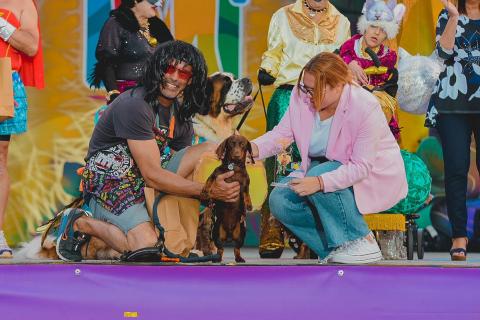 Carnaval canino de Maspalomas 2023 / CanariasNoticias.es