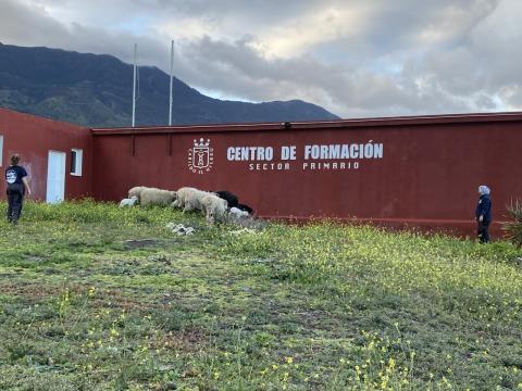 Centro de Formación sector primario de El Hierro / CanariasNoticias.es Centro de Formación sector primario de El Hierro / CanariasNoticias.es