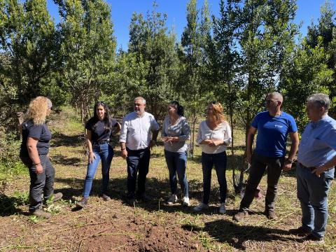 Emplea Verde Gran Canaria / CanariasNoticias.es Emplea Verde Gran Canaria / CanariasNoticias.es