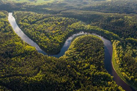 / Ivars Utināns (Unsplash) Amazonía