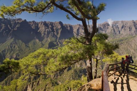 La Palma La Palma