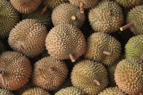 Durianes / Mufid Majnun (Unsplash) Durianes