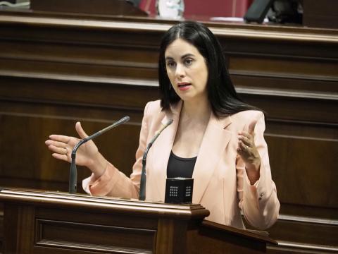 Vidina Espino, portavoz del Grupo Mixto en el Parlamento de Canarias / CanariasNoticias.es