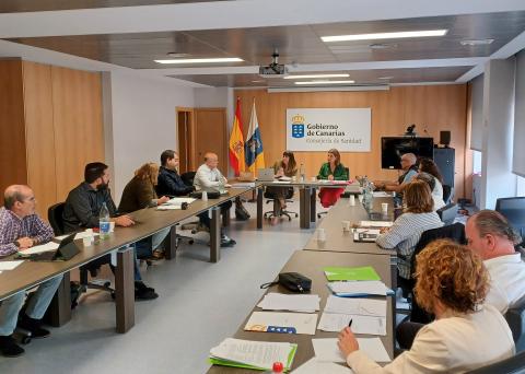 Mesa sectorial de Sanidad / CanariasNoticias.es Mesa sectorial de Sanidad / CanariasNoticias.es