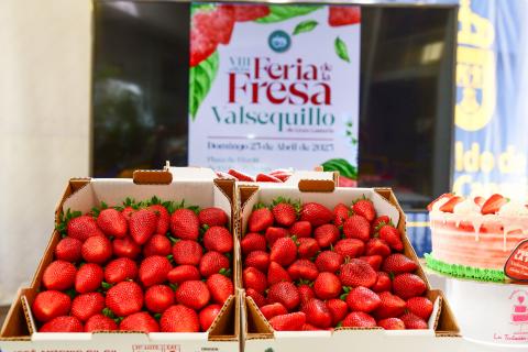 Feria de la Fresa de Valsequillo / CanariasNoticias.es 