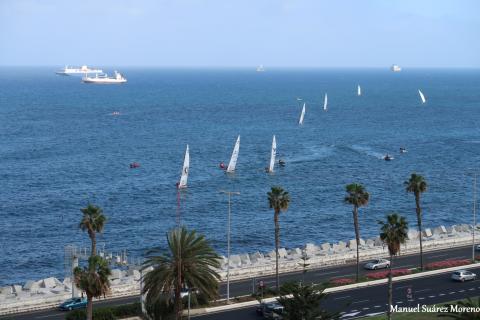 Vela Latina Canaria en Las Palmas de Gran Canaria Vela Latina Canaria en Las Palmas de Gran Canaria