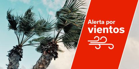 Alerta por viento en Canarias 