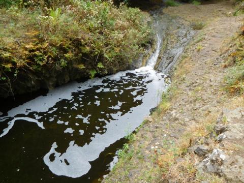 Vertido de sosa cáustica en barranco / CanariasNoticias.es Vertido de sosa cáustica en barranco / CanariasNoticias.es