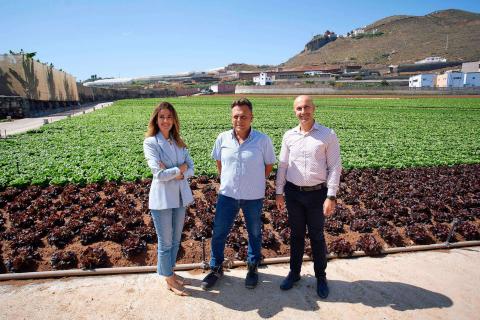 HiperDino comercializa frutas y verduras de Canarias / CanariasNoticias.es