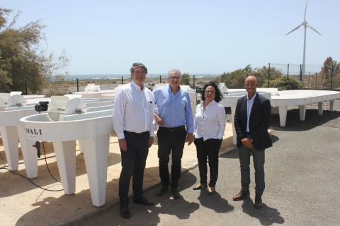 Cepsa y el ITC desarrollan biocombustibles a partir de microalgas / CanariasNoticias.es