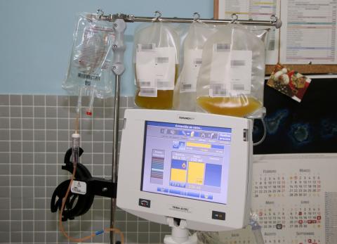 Donación de plasma sanguíneo / CanariasNoticias.es Donación de plasma sanguíneo / CanariasNoticias.es