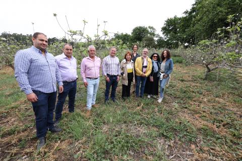 Periodistas gastronómicos conocen la sidra de Valleseco / CanariasNoticias.es 