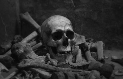 Imagen ilustrativa / Katherine Kromberg (Unsplash) Esqueleto en excavación