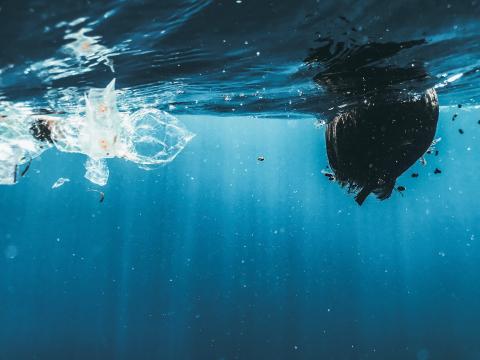 Imagen ilustrativa / Naja Bertolt Jensen (Unsplash)