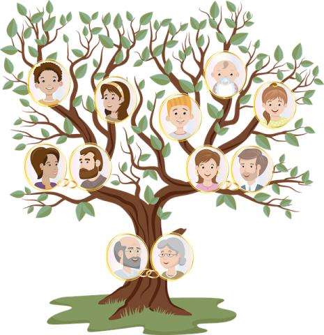 Cómo hacer un árbol genealógico