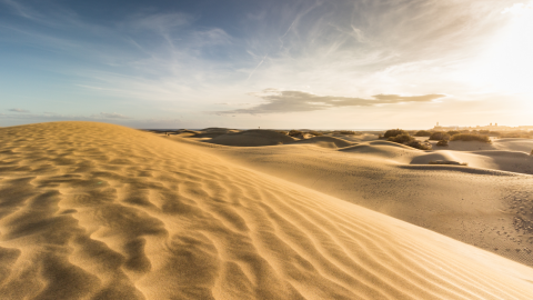 Dunas de Maspalomas / CanariasNoticias.es 