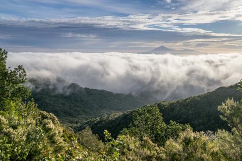 Reserva de la Biosfera de La Gomera / CanariasNoticias.es Reserva de la Biosfera de La Gomera / CanariasNoticias.es