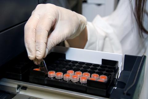 Investigación ULPGC / CanariasNoticias.es Investigación ULPGC / CanariasNoticias.es