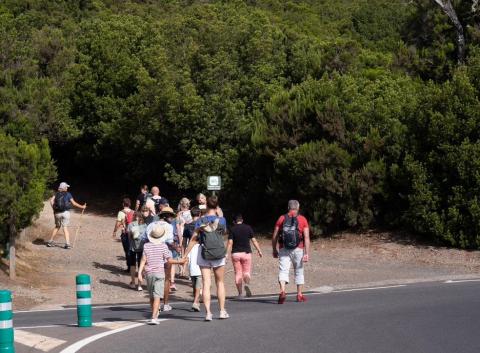 Senderistas en La Gomera / CanariasNoticias.es Senderistas en La Gomera / CanariasNoticias.es
