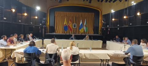 Pleno del Ayuntamiento de Santa Brígida / CanariasNoticias.es Pleno del Ayuntamiento de Santa Brígida / CanariasNoticias.es