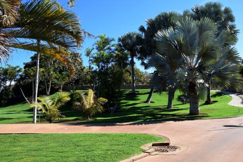 Palmetum / CanariasNoticias.es Palmetum / CanariasNoticias.es