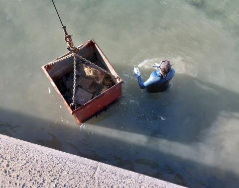 Limpieza del fondo marino en el Muelle Chico / CanariasNoticias.es Limpieza del fondo marino en el Muelle Chico / CanariasNoticias.es