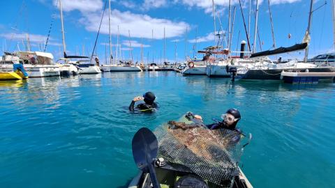 Limpieza de fondos del muelle de Corralejo / CanariasNoticias.es 