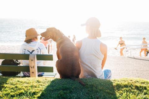 Tener una mascota es beneficioso para nuestra salud