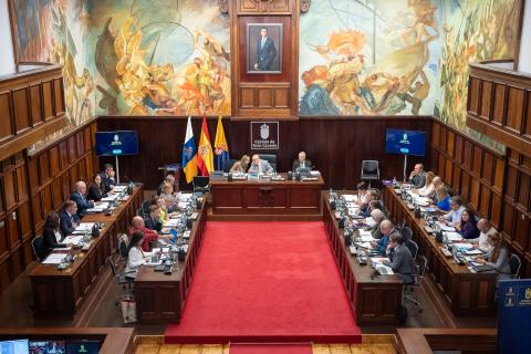 Pleno del Cabildo de Gran Canaria / CanariasNoticias.es