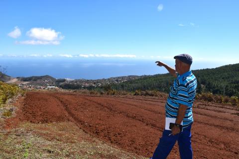 Limpieza terrenos zona interfase / CanariasNoticias.es Limpieza terrenos zona interfase / CanariasNoticias.es