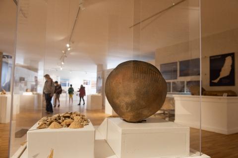 Museo Arqueológico de Fuerteventura / CanariasNoticias.es 