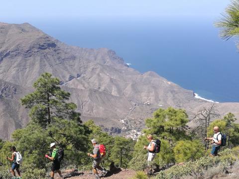 San Bartolomé Camina / CanariasNoticias.es 