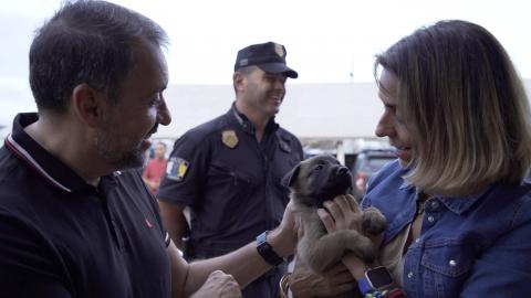 Cachorros de la Unidad Canina / CanariasNoticias.es 