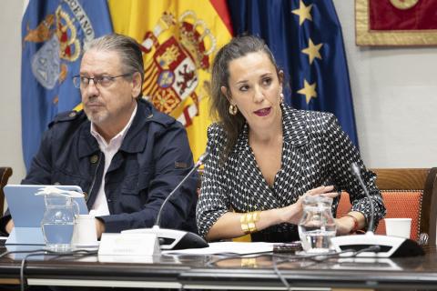 Jessica de León, consejera de Turismo y Empleo / CanariasNoticias.es 