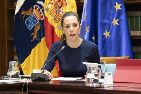 Jessica de León, consejera de Turismo y Empleo / CanariasNoticias.es 