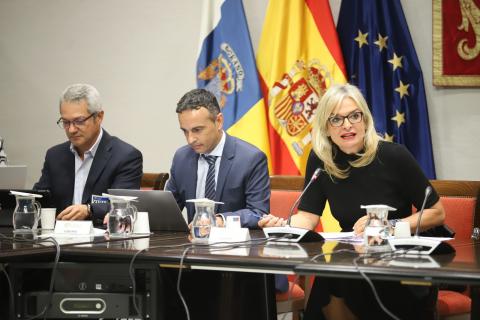 Esther Monzón, consejera de Sanidad / CanariasNoticias.es Esther Monzón, consejera de Sanidad / CanariasNoticias.es