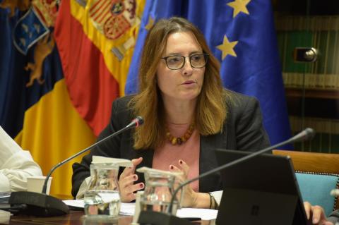 Candelaria Delgado, consejera de Bienestar Social / CanariasNoticias.es 