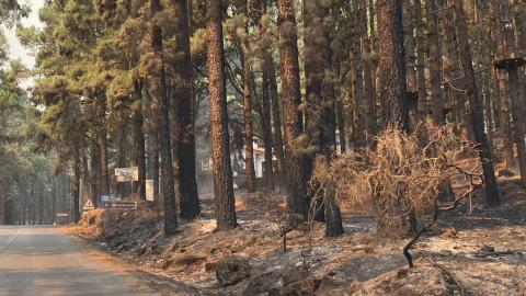 Zonas afectadas por el incendio / CanariasNoticias.es Zonas afectadas por el incendio / CanariasNoticias.es