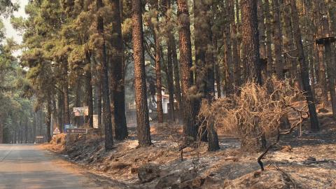 Zonas afectadas por el incendio / CanariasNoticias.es 