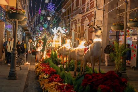 Semana de las Flores / CanariasNoticias.es Semana de las Flores / CanariasNoticias.es