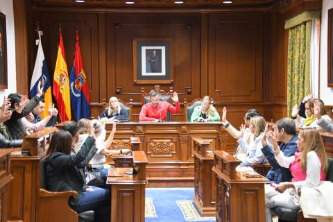 Pleno del Ayuntamiento de Telde / CanariasNoticias.es